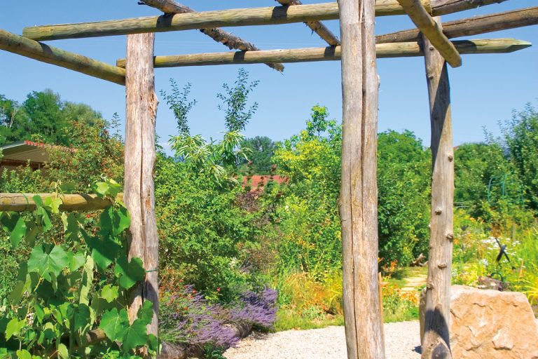 Gestaltung Hügel Gartenbau und Gartencenter