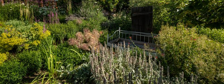 gc_ausstellung_altermustergarten_magebild_gross_01
