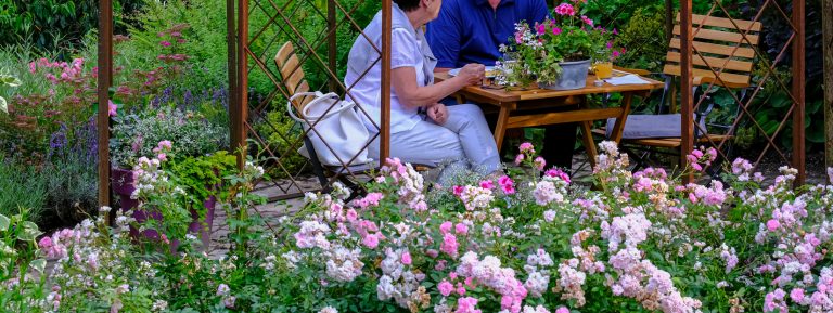 gc_ausstellung_altermustergarten_magebild_gross_05