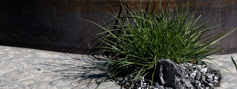 gc_ausstellung_altermustergarten_magebild_gross_07