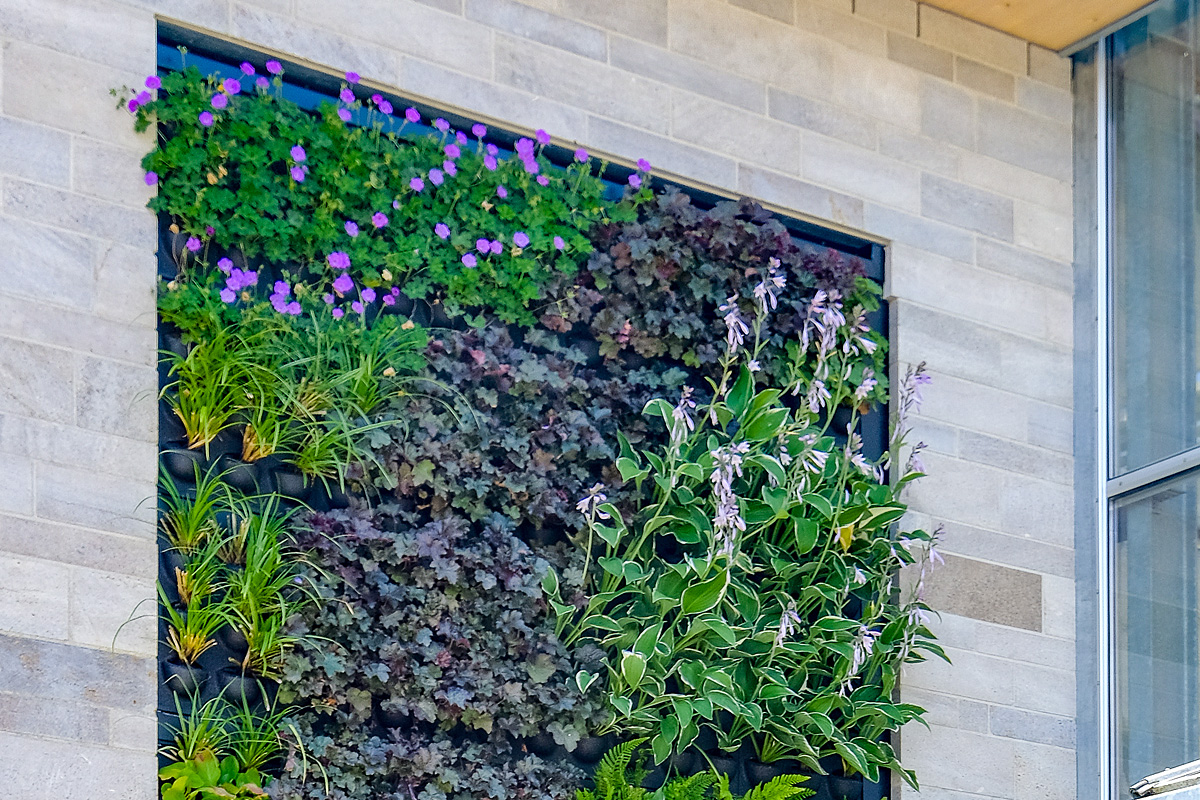 gc_produkte_wandbegruenung_dia_01