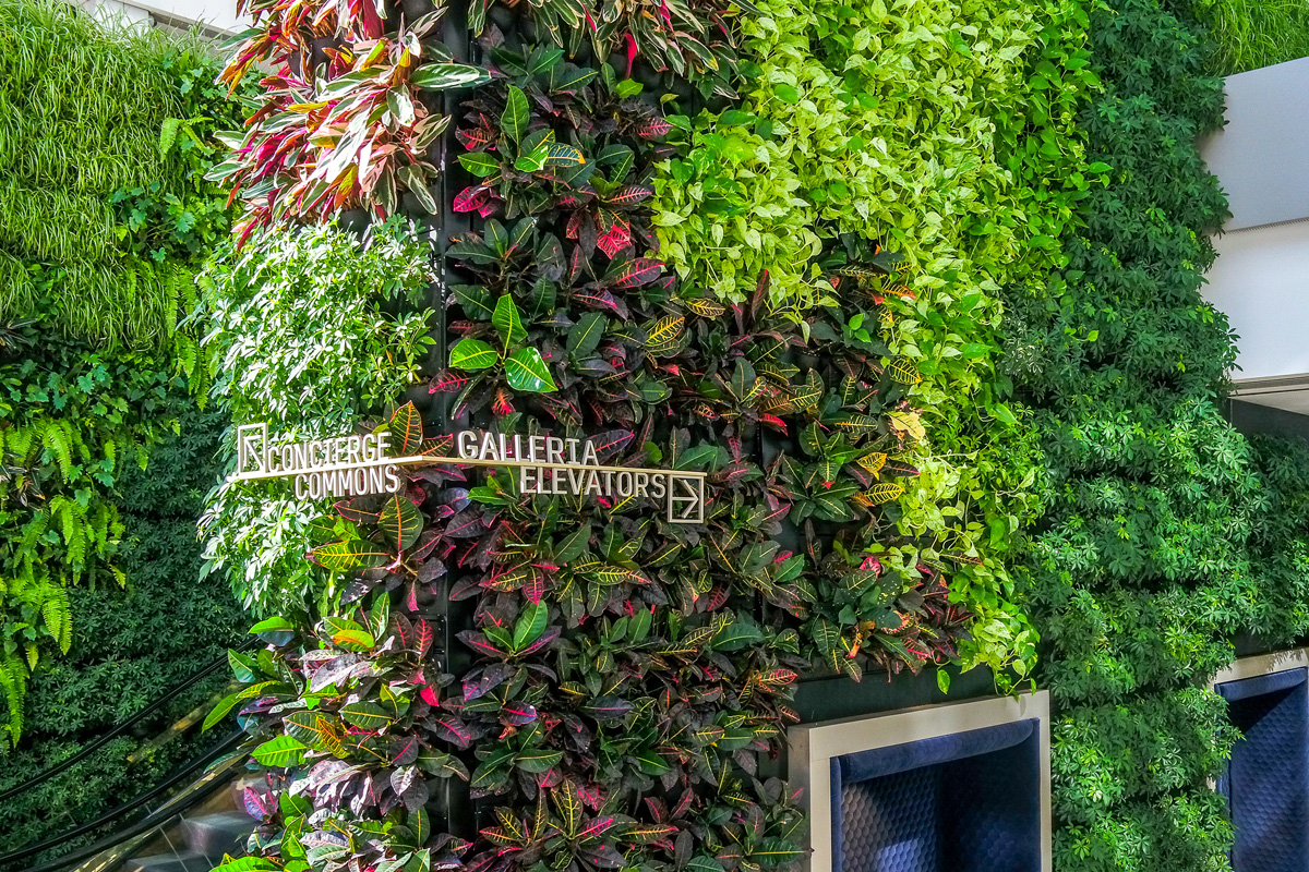 gc_produkte_wandbegruenung_dia_04