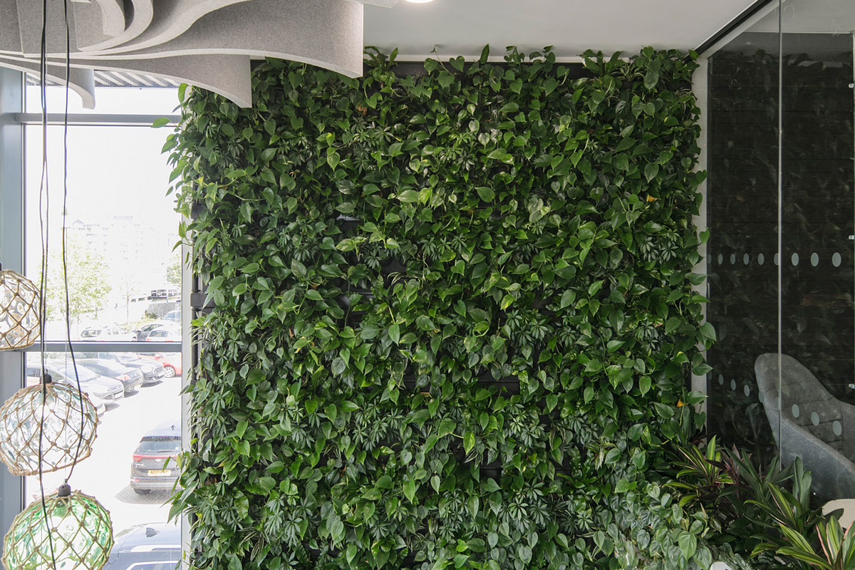 gc_produkte_wandbegruenung_dia_08