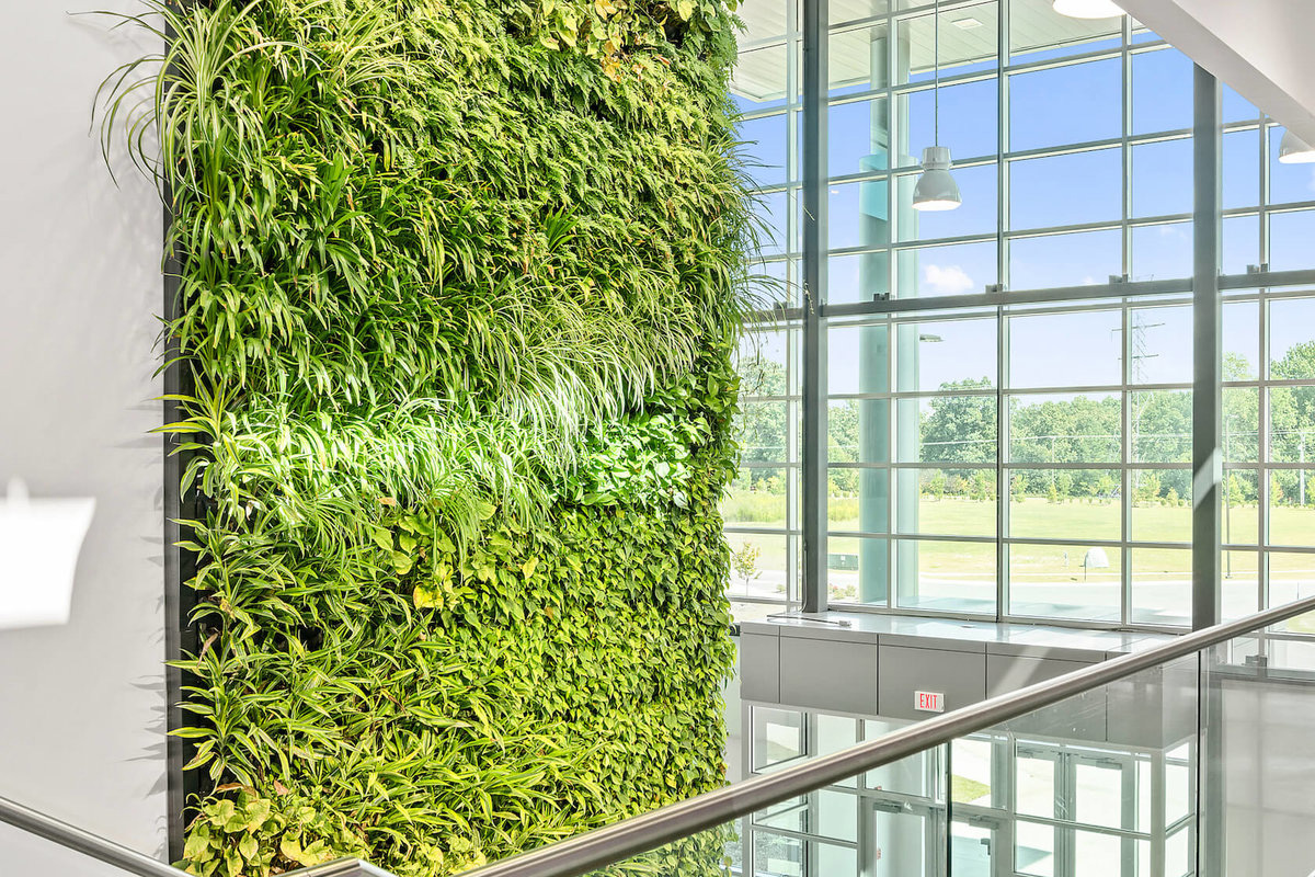 gc_produkte_wandbegruenung_dia_11