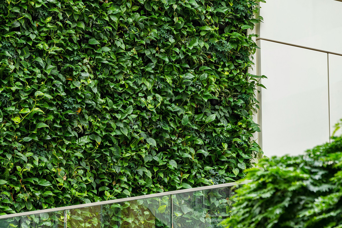 gc_produkte_wandbegruenung_dia_13