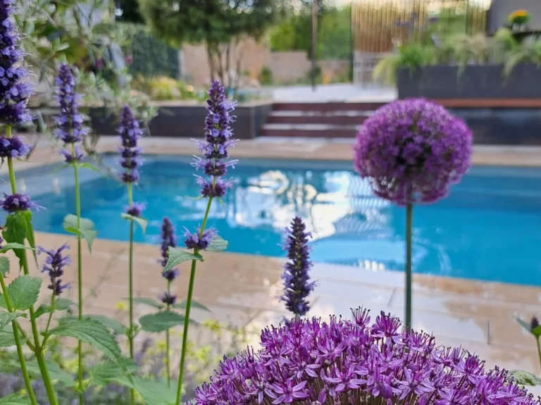 Außenpool mit Blumen in der Poolausstellung