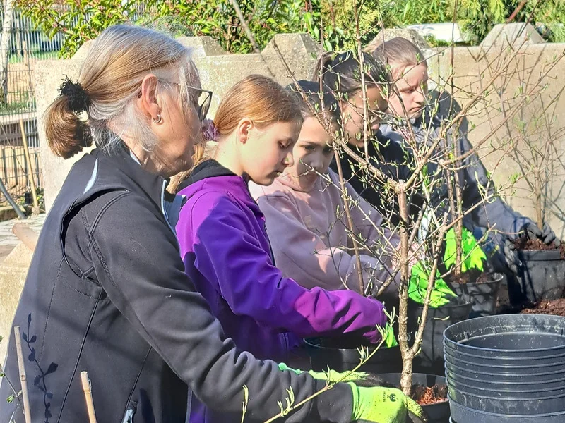 Teilnehmerinnen vom Girlsday pflanzen Bäume ein