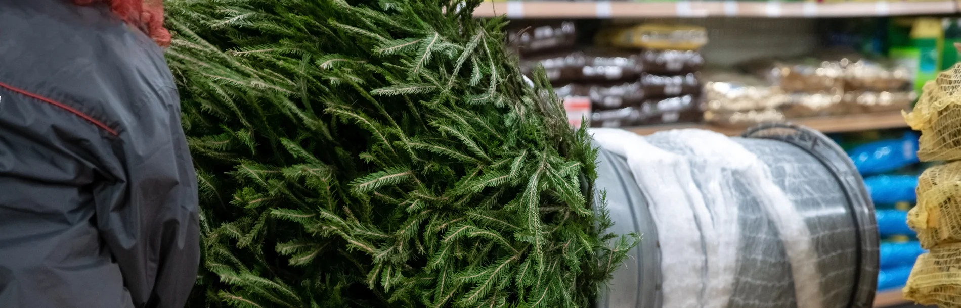 Weihnachtsbaum wird verpackt