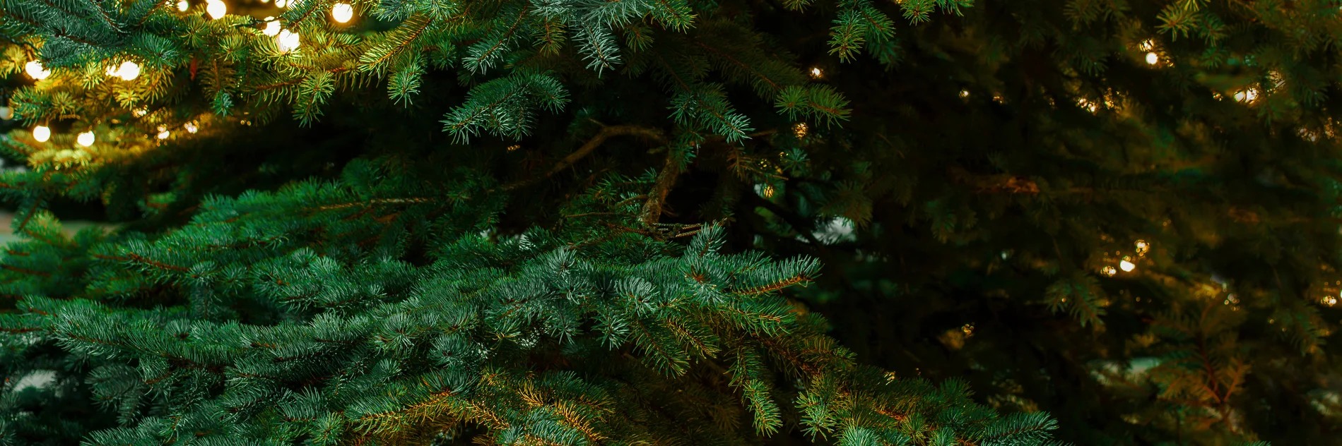 Weihnachtsbaum mit Lichtern