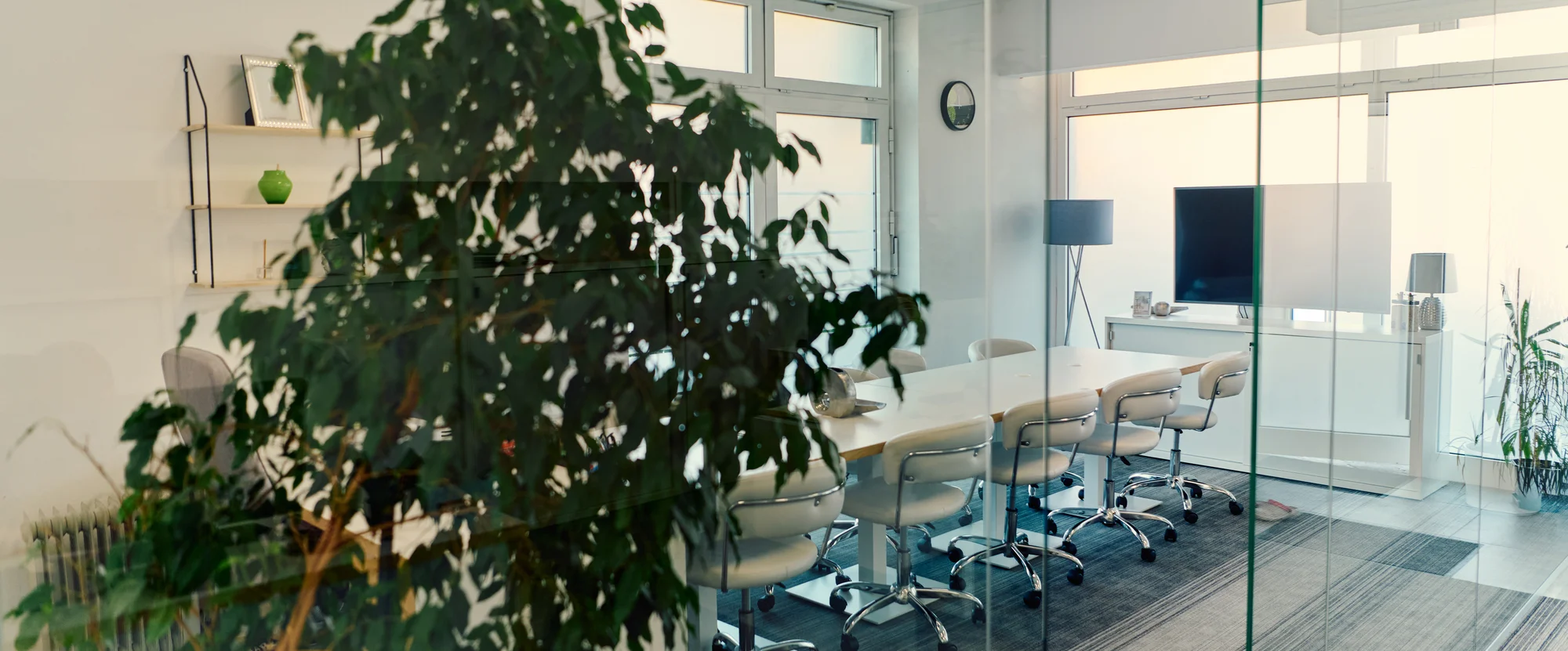 Innenraumbegrünung in einem Büro