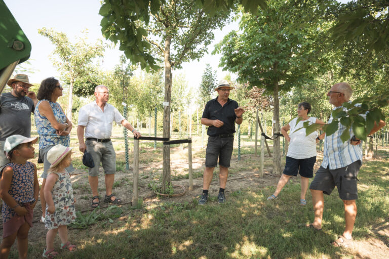 Sommerfest 2026